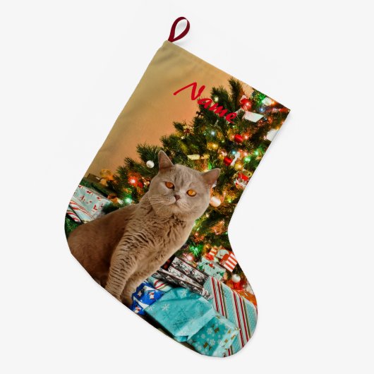 Kat met versierde kerstboom en geschenkdozen grote kerstsok (Voorkant (Hangend))