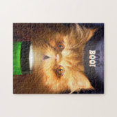 Kat met vlieglicht legpuzzel (Horizontaal)