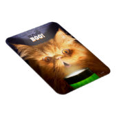 Kat met vlieglicht magneet (Rechterzijde)