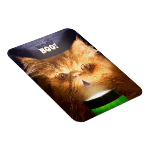 Kat met vlieglicht magneet (Rechterzijde)