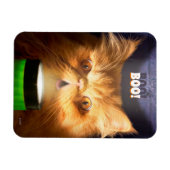 Kat met vlieglicht magneet (Horizontaal)