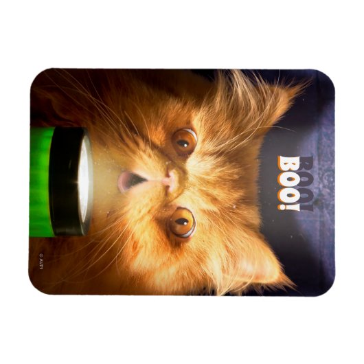 Kat met vlieglicht magneet (Horizontaal)