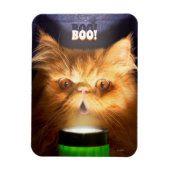 Kat met vlieglicht magneet (Verticaal)