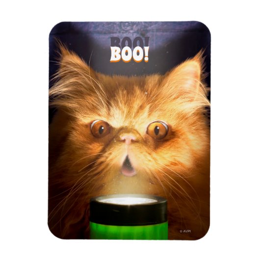Kat met vlieglicht magneet (Verticaal)