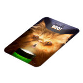 Kat met vlieglicht magneet (Linkerzijde)