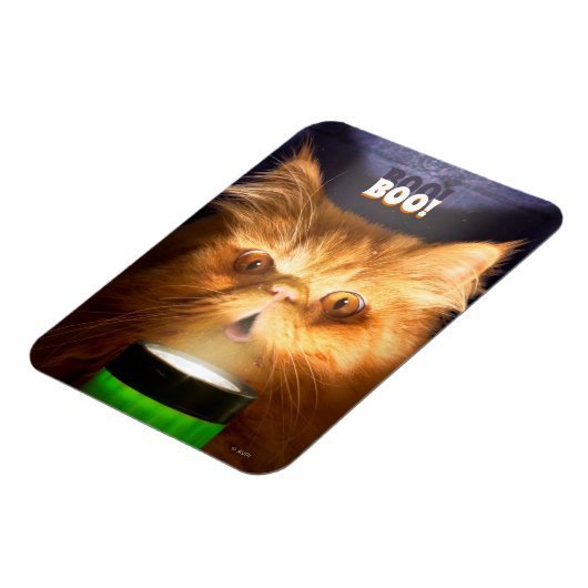 Kat met vlieglicht magneet (Linkerzijde)