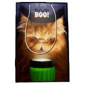 Kat met vlieglicht medium cadeauzakje (Voorkant)