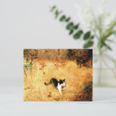 Kat met vogel in mond briefkaart (Staand voorkant)
