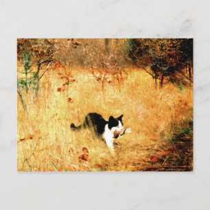 Kat met vogel in mond briefkaart