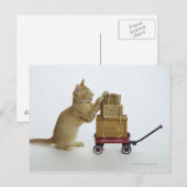 Kat met wagen en dozen briefkaart (Voorkant / Achterkant)