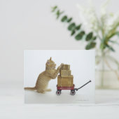 Kat met wagen en dozen briefkaart (Staand voorkant)