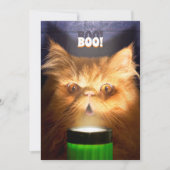 Kat Met Zaklamp Kaart (Voorkant)