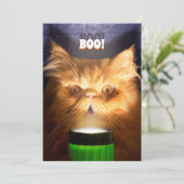 Kat Met Zaklamp Kaart (Staand voorkant)