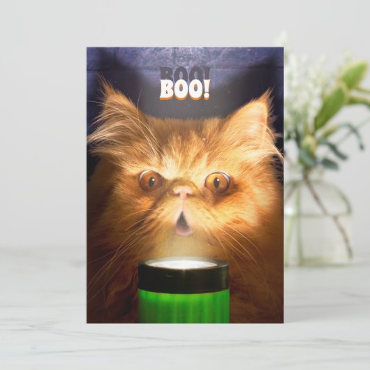 Kat Met Zaklamp Kaart (Staand voorkant)