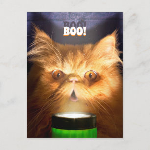 Kat Met Zaklamp Uitnodiging Briefkaart