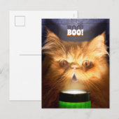 Kat Met Zaklamp Uitnodiging Briefkaart (Voorkant / Achterkant)