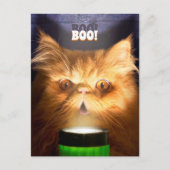 Kat Met Zaklamp Uitnodiging Briefkaart (Voorkant)