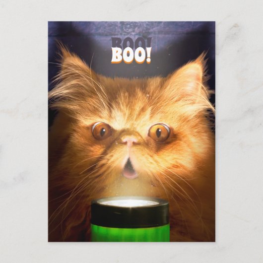 Kat Met Zaklamp Uitnodiging Briefkaart (Voorkant)