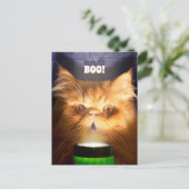 Kat Met Zaklamp Uitnodiging Briefkaart (Staand voorkant)