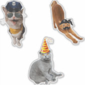 Kat met zonnebril sticker (Voorkant)