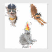 Kat met zonnebril sticker (Vel)