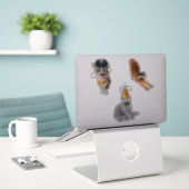 Kat met zonnebril sticker (Laptop op bureau)