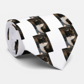 Kat met zwarte en witte Tuxedo Stropdas (Opgerold)