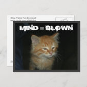 Kat "MIND = BLOWN" Briefkaart (Voorkant / Achterkant)
