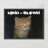 Kat "MIND = BLOWN" Briefkaart (Voorkant)