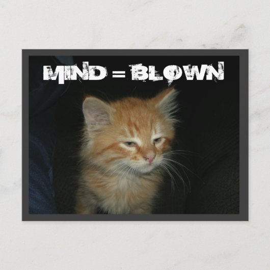 Kat "MIND = BLOWN" Briefkaart (Voorkant)