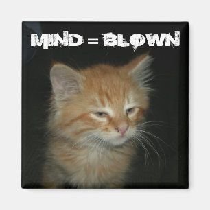 Kat "MIND = BLOWN" Magnet
