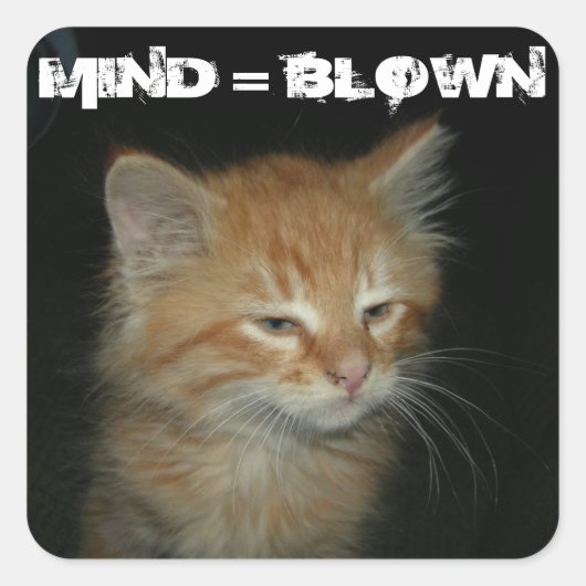 Kat "MIND = BLOWN" stickers - Stel 20 in (Voorkant)