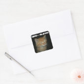 Kat "MIND = BLOWN" stickers - Stel 20 in (Envelop)