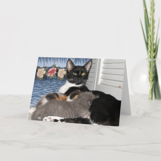 Kat Moeders Liefde Bedankkaart (Voorkant)