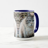 Kat Mok (Voorkant rechts)