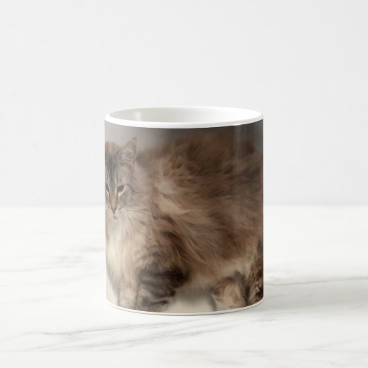 Kat-Mok Koffiemok (Center)