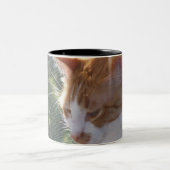 Kat-Mok Tweekleurige Koffiemok (Center)