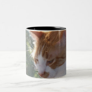 Kat-Mok Tweekleurige Koffiemok
