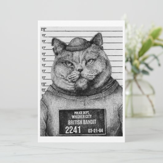 Kat mugshot kaart (Staand voorkant)