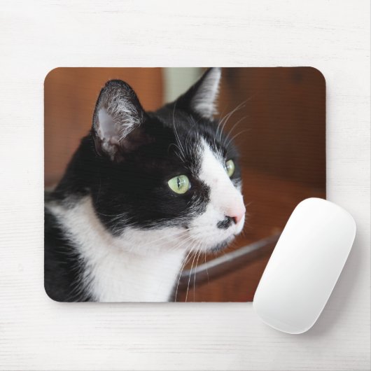 Kat Muismat (Met muis)