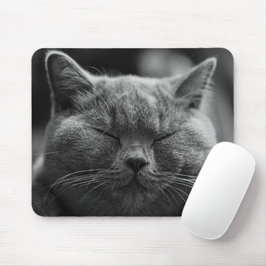 kat muismat (Met muis)