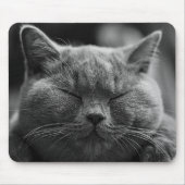 kat muismat (Voorkant)