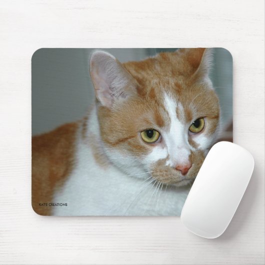 KAT MUISMAT (Met muis)