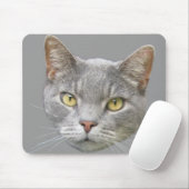 Kat Muismat (Met muis)