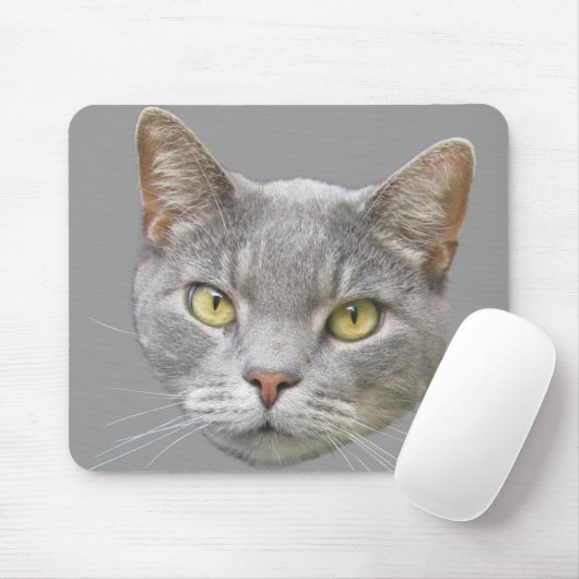 Kat Muismat (Met muis)