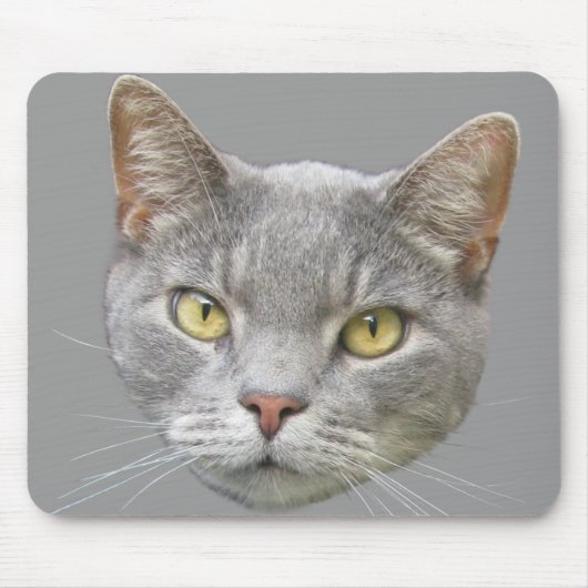 Kat Muismat (Voorkant)