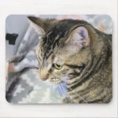 Kat Muismat (Voorkant)
