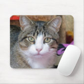 kat muismat (Met muis)