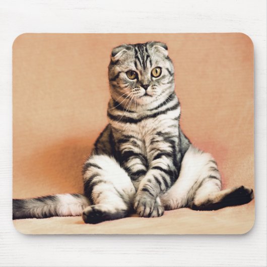 Kat Muismat (Voorkant)