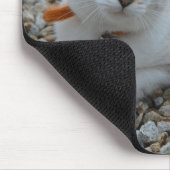 Kat Muismat (Hoek)